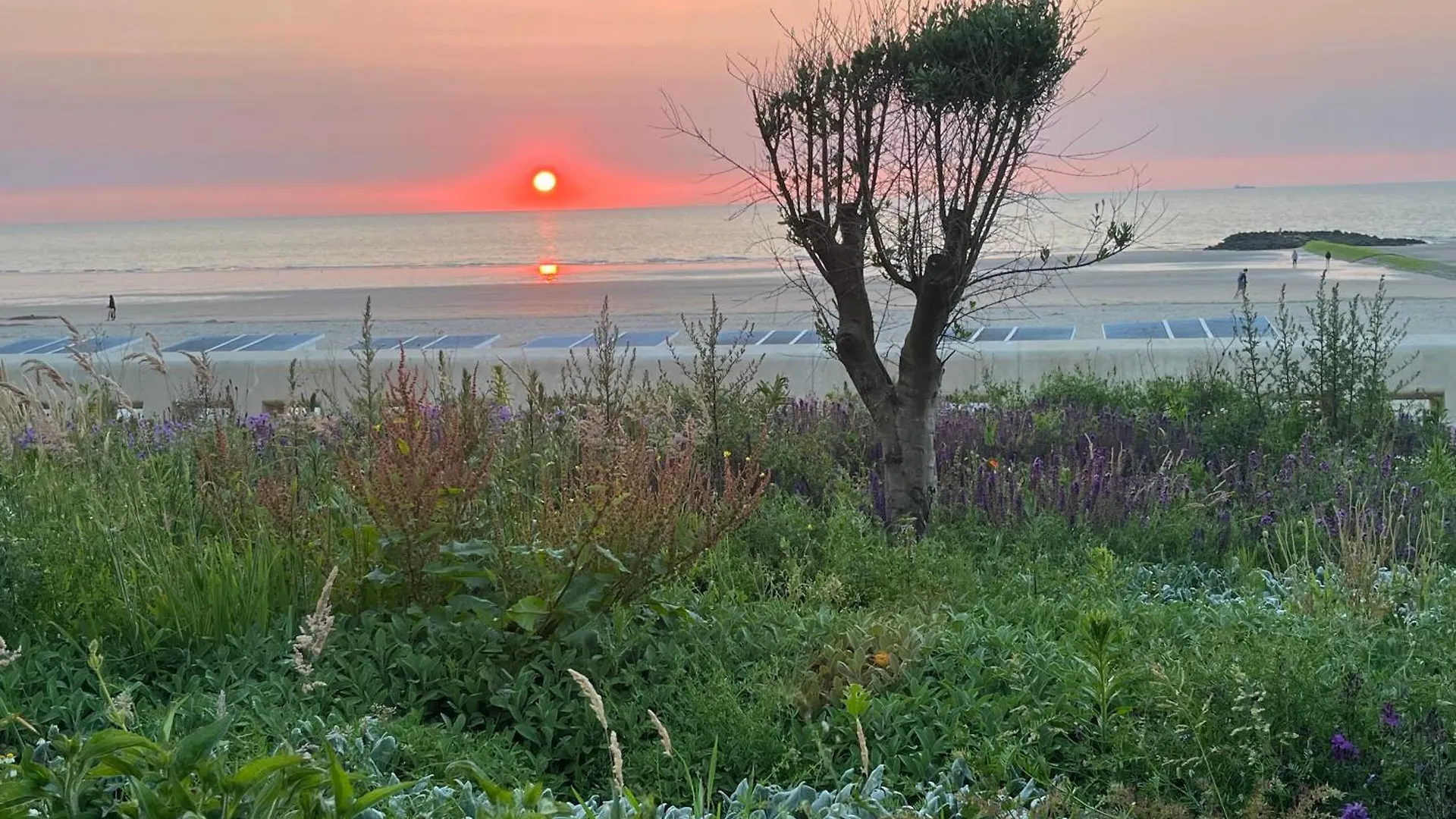 Digue De Westende, Studio Avec Coin Nuit, Piscine, Vue Mer Et Plage Fantastique Middelkerke